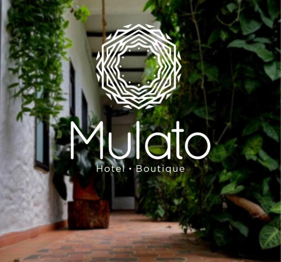 Hotel Mulato 埃尔科莱希奥 外观 照片