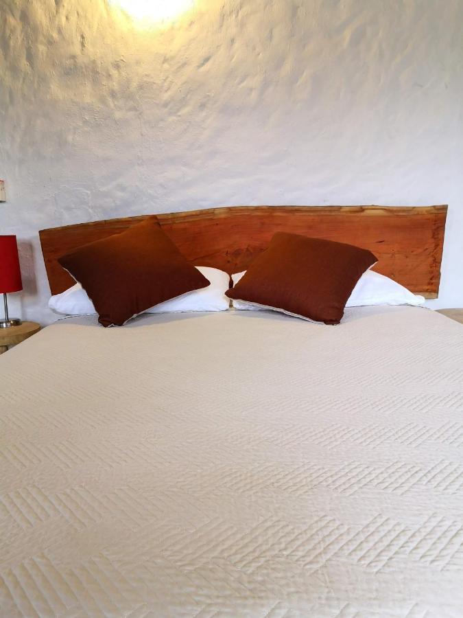 Hotel Mulato 埃尔科莱希奥 外观 照片
