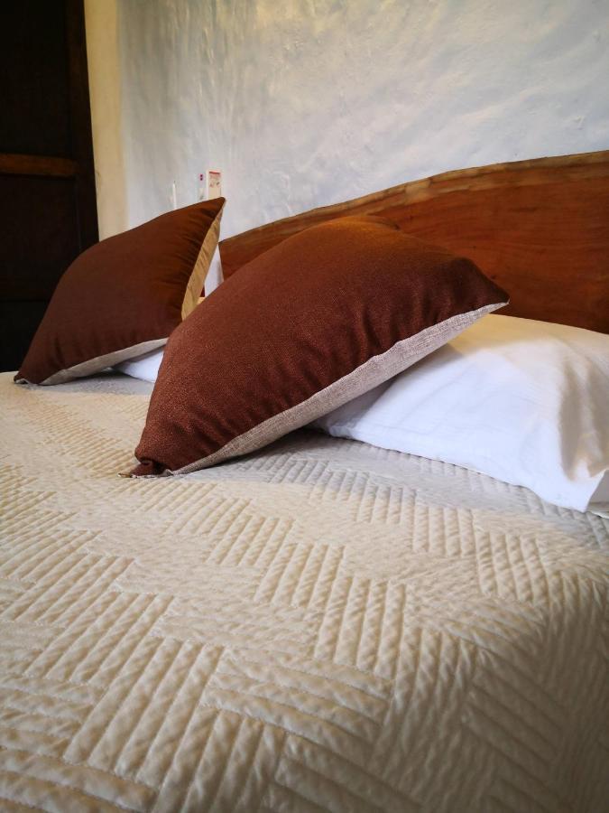 Hotel Mulato 埃尔科莱希奥 外观 照片